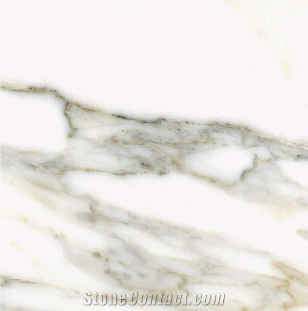 Calacatta Luna Marble Tile