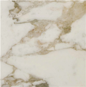 Calacatta Macchia Oro Marble Tile