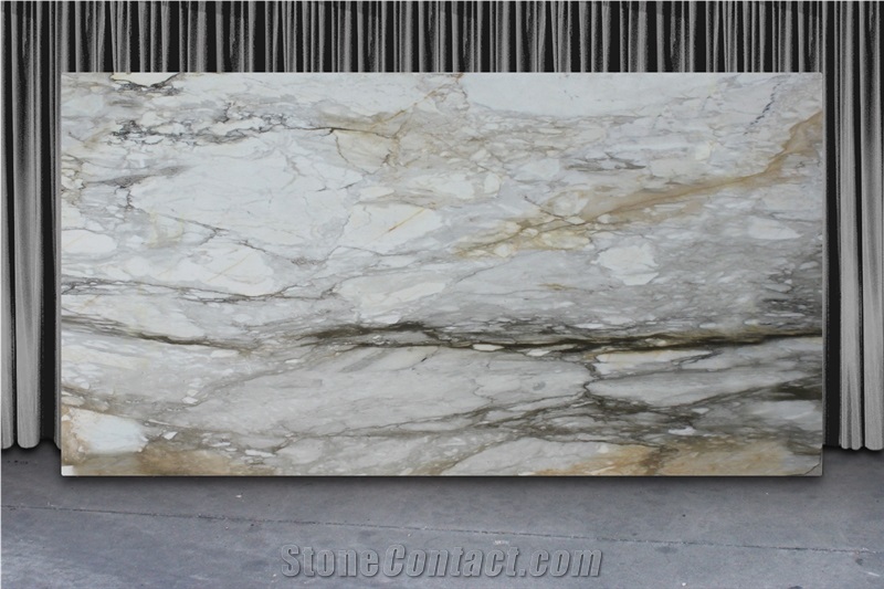 Calacatta Macchia Vecchia Marble Slab