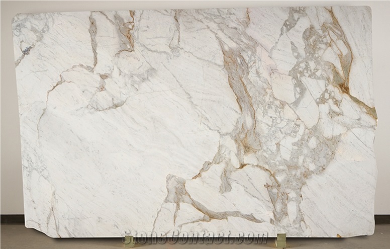 Calacatta Macchia Vecchia Marble Slab