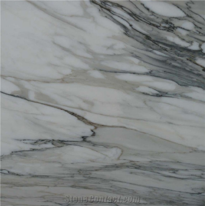 Calacatta Macchia Vecchia Marble importance=