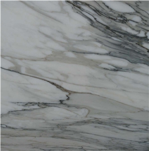Calacatta Macchia Vecchia Marble