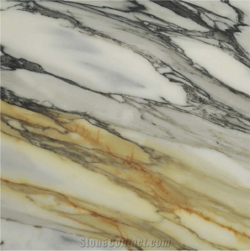 Calacatta Macchia Vecchia Marble Tile