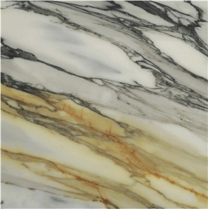 Calacatta Macchia Vecchia Marble Tile