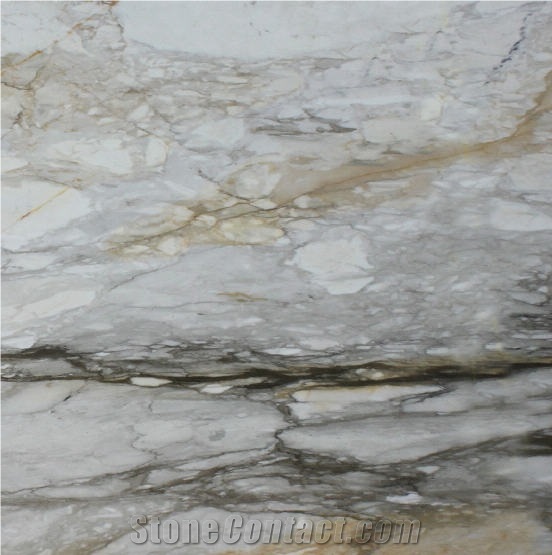 Calacatta Macchia Vecchia Marble Tile