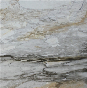Calacatta Macchia Vecchia Marble Tile