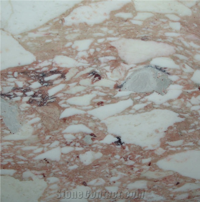 Calacatta Vagli Rosato Marble importance=