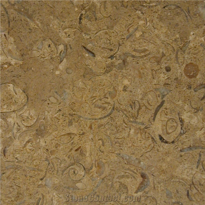 Caliza Cafe Pinta Tile