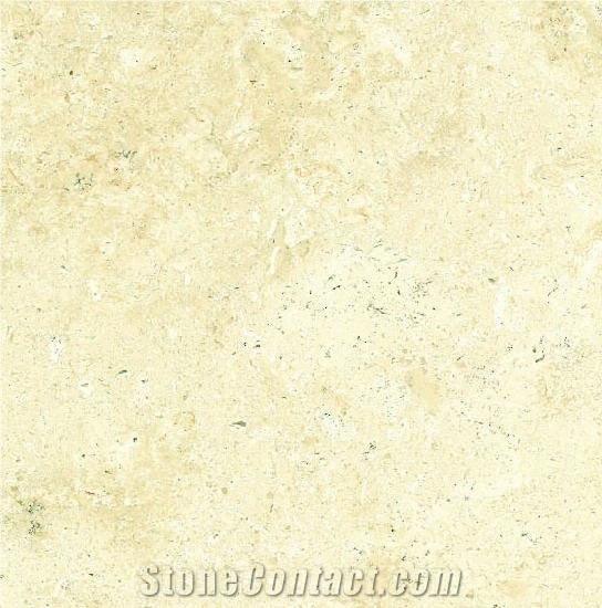 Camel White Limestone importance=