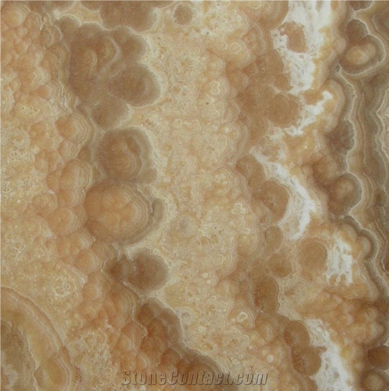 Cappuccino Onyx importance=