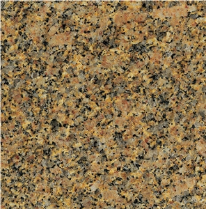 Carioca Gold Granite Tile