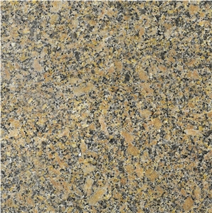 Carioca Gold Granite Tile