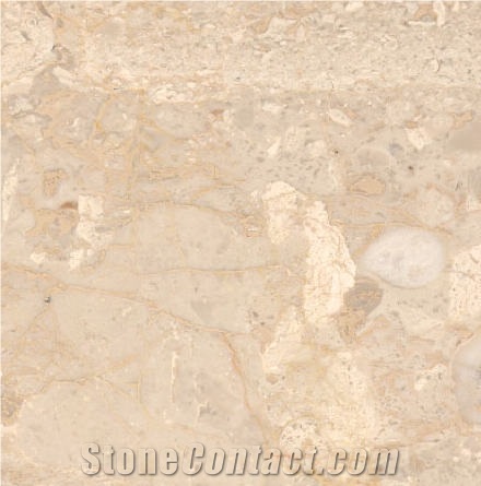 Carnis Breccia Marble importance=