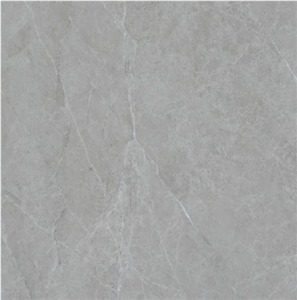 Champagne Grey Limestone