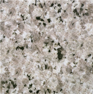 Champagne White Granite