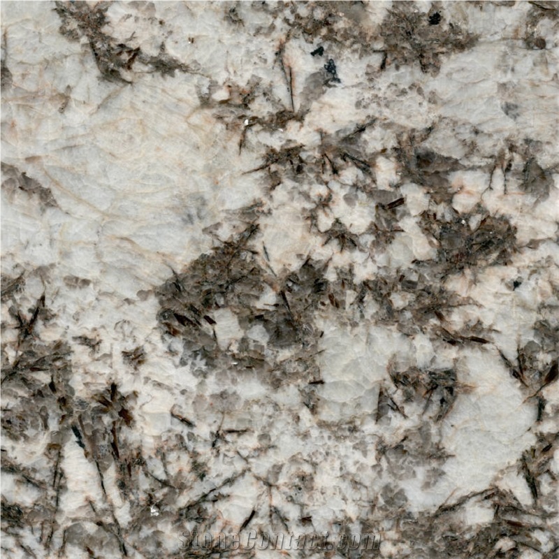 Chandna White importance=