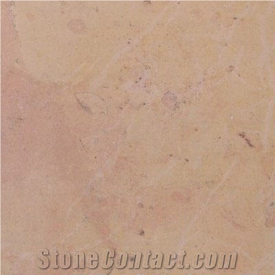 Chassagne Beauharnais Saumone Limestone importance=
