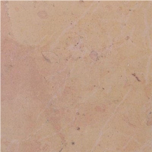Chassagne Beauharnais Saumone Limestone