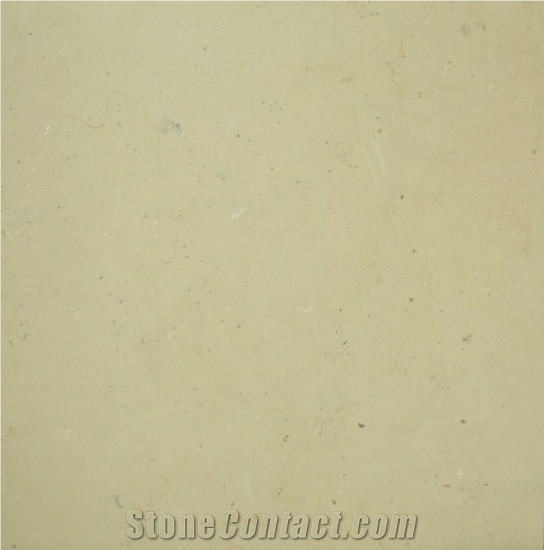 Chaumont Limestone importance=