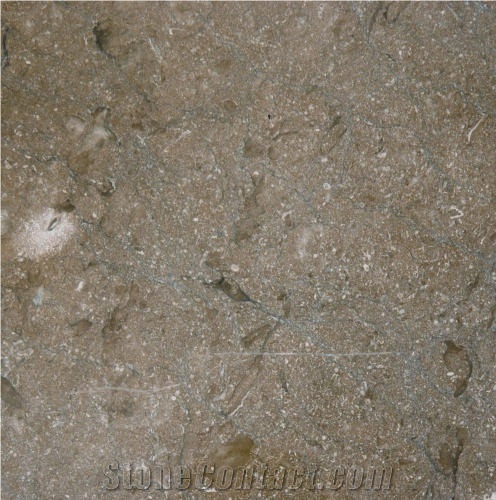 Chestnut Brown Marble importance=