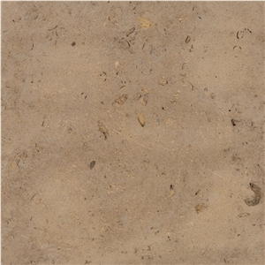 Chestnut Limestone