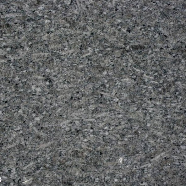Chikoo Pearl Granite importance=