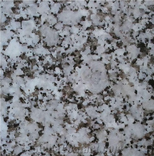 China Gris Perla Tile
