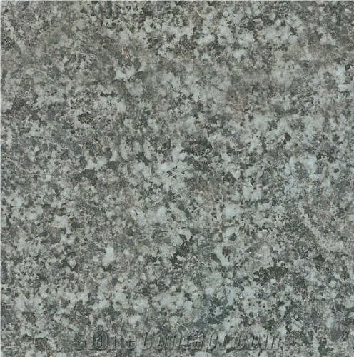 Chrysanthemum Green Granite importance=