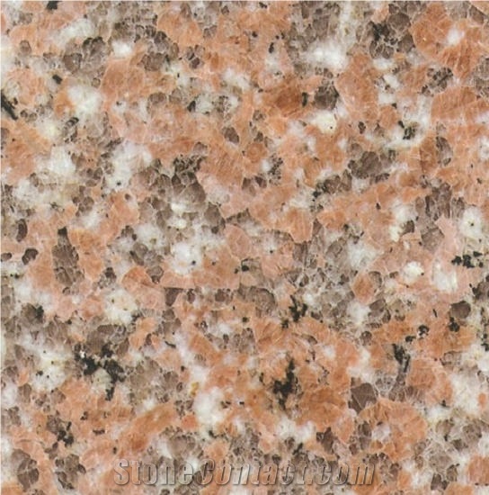 Chrysanthemum Red Granite importance=