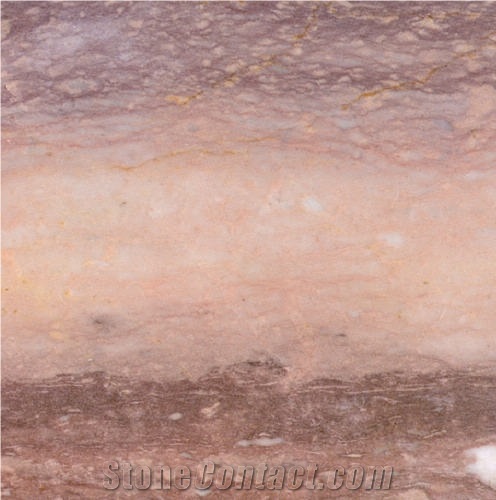 Chrysanthemum Yellow Marble importance=