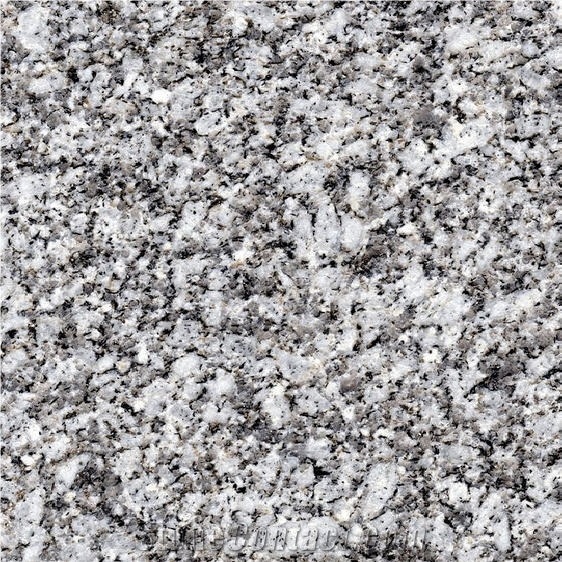 Cinzento Antas Granite importance=