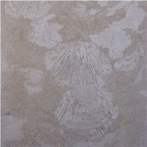 Classic Coral Stone