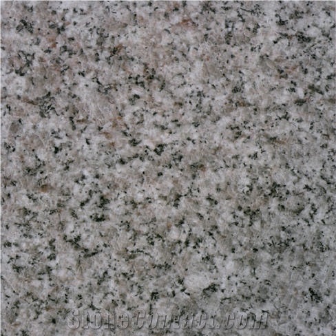 Classic Grey Fujian Granite importance=