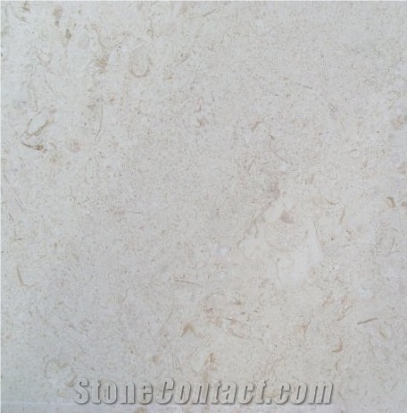 Cleopatra Beige importance=