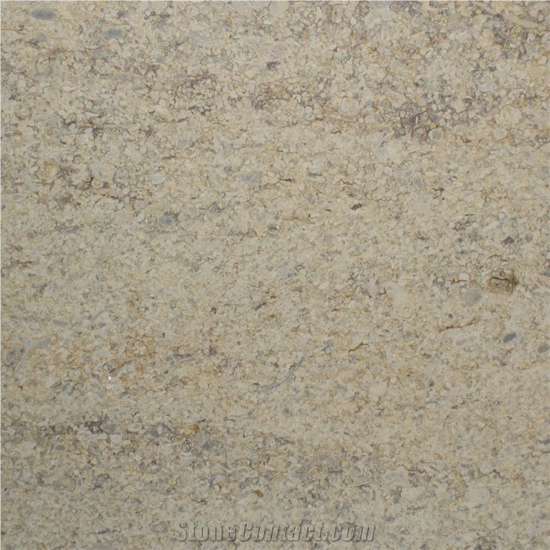 Clipsham Stone Tile