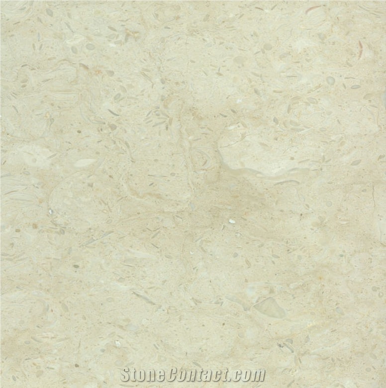 Cloudy Beige Marble importance=