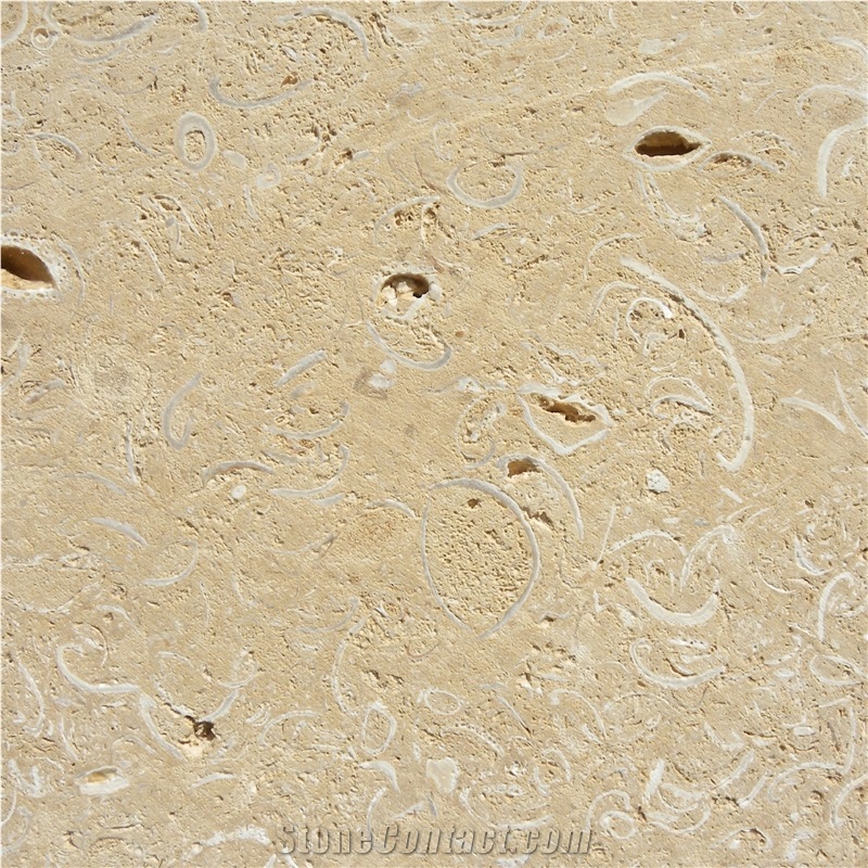 Conchuela Coral Stone importance=