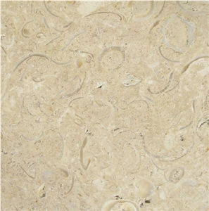 Conchuela Coral Stone Tile