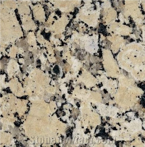 Conquistador Beige importance=