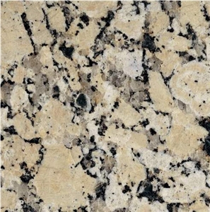 Conquistador Beige