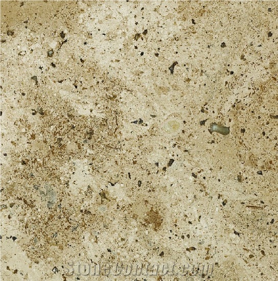 Consta Travertine importance=