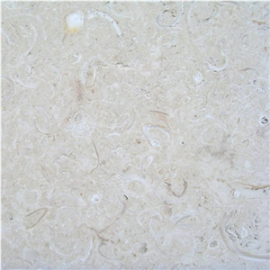 Coquina Shellstone