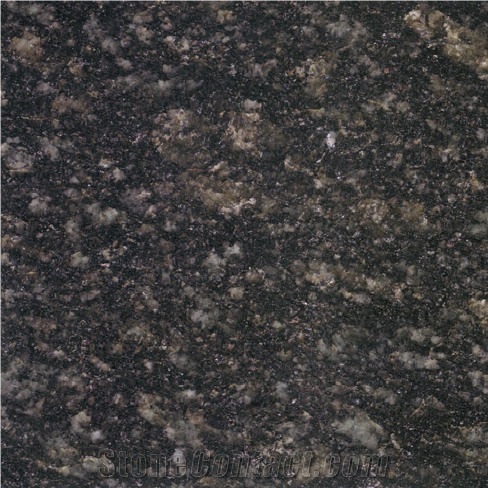 Coral Green Neimenggu Granite Tile