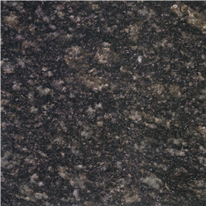 Coral Green Neimenggu Granite Tile