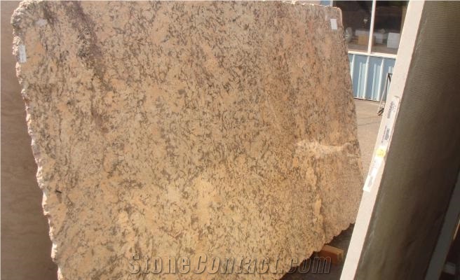 Coral Reef Granite Slab