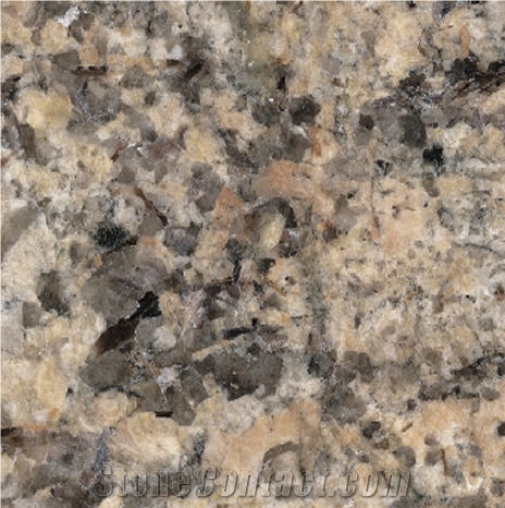 Coral Reef Granite Tile