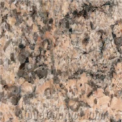 Coral Reef Granite Tile