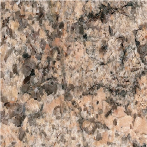 Coral Reef Granite Tile