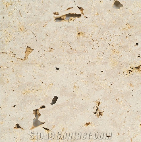 Coralina Shell Stone importance=
