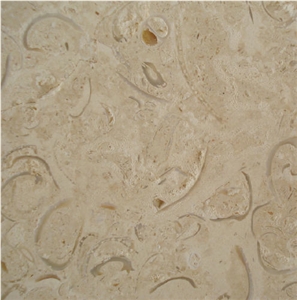 Coralina Shellstone
